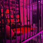 Gasthof Secret Votre Coquine Et Insolite En Espace Privatif A 3*