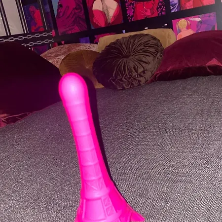 Secret - Votre Coquine Maison d'hôtes Tournai